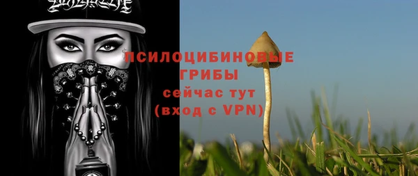 мяу мяу мука Алзамай